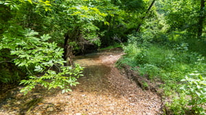 DJI_20250529112003_0022_D.jpg