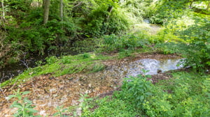 DJI_20250529112021_0025_D.jpg