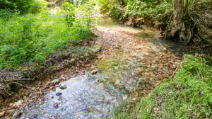 DJI_20250529112046_0028_D.jpg