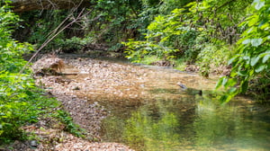 DJI_20250529112116_0031_D.jpg