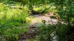 DJI_20250529112145_0034_D.jpg