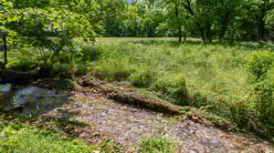 DJI_20250529112245_0037_D.jpg