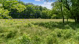 DJI_20250529112258_0040_D.jpg
