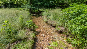 DJI_20250529112342_0043_D.jpg