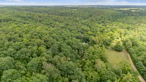 DJI_20250529112925_0061_D.jpg