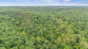 DJI_20250529113005_0064_D.jpg