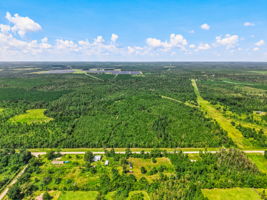  Photo 81
