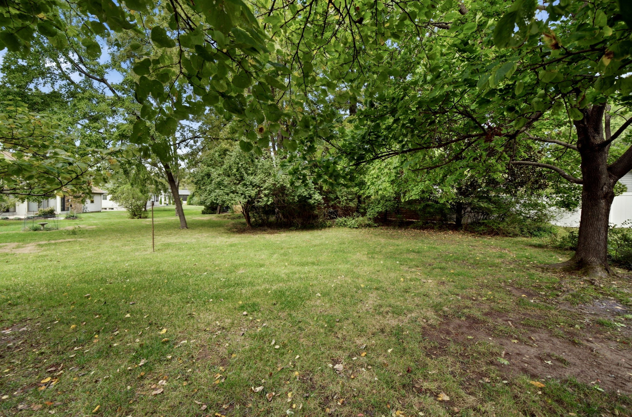  Photo 46