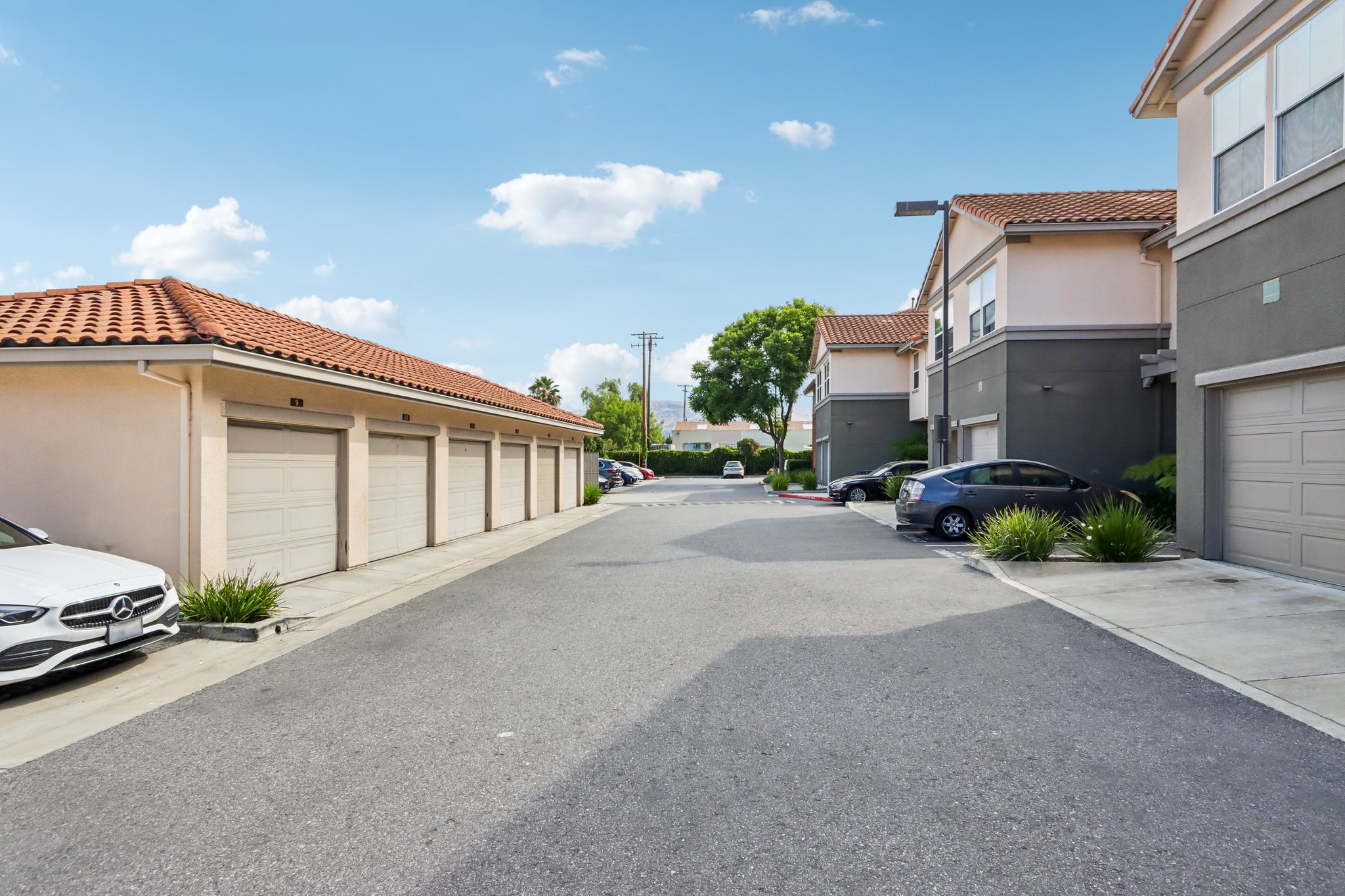 Alum Rock Ave 211-S2208-042.jpg