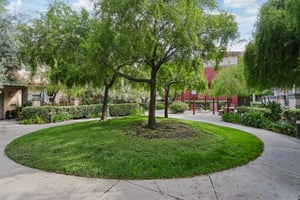 Alum Rock Ave 211-2208-909.jpg