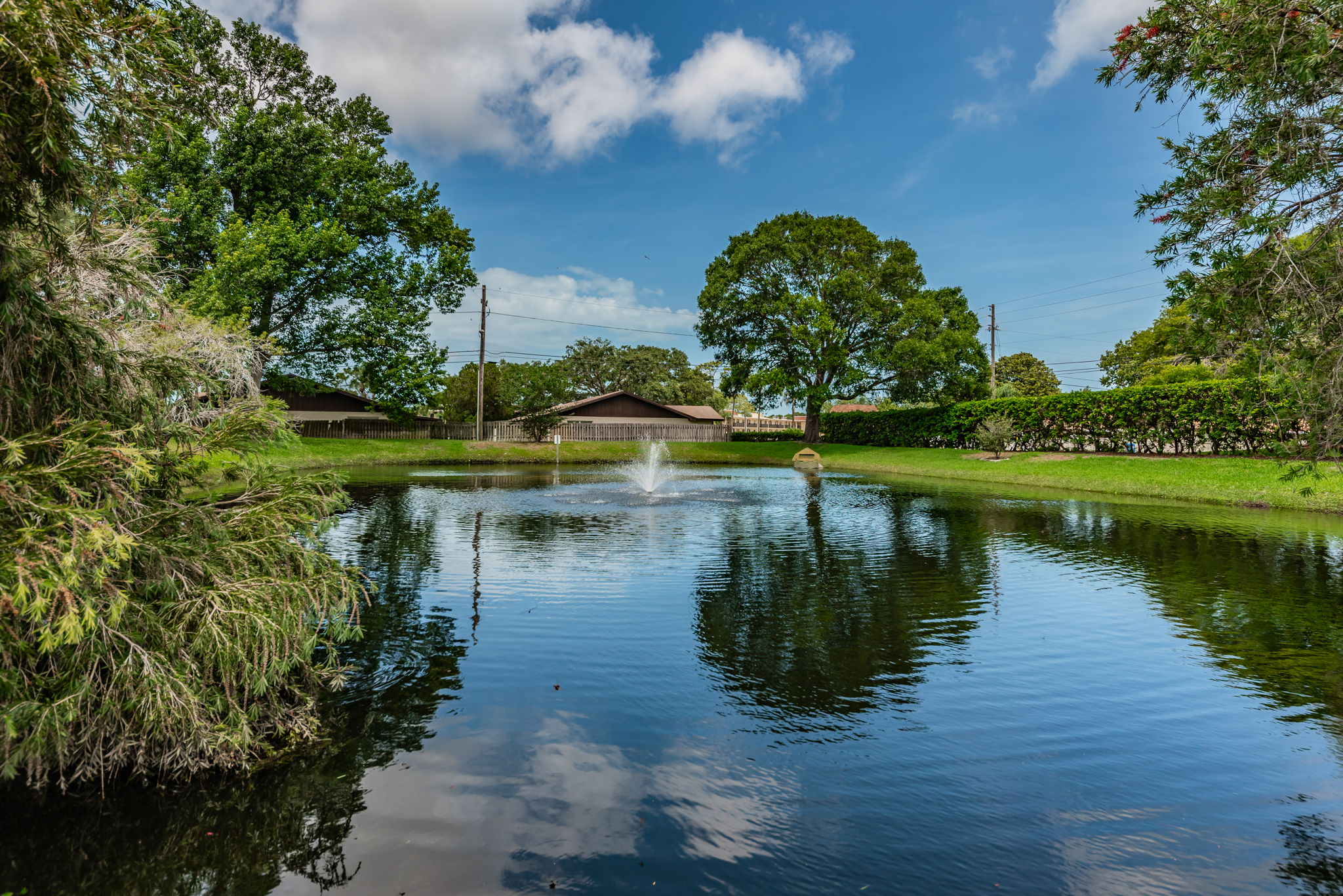 Pond View2