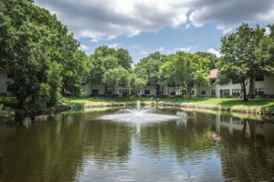 Pond View3