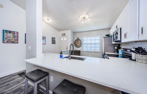Kitchen Counter 1