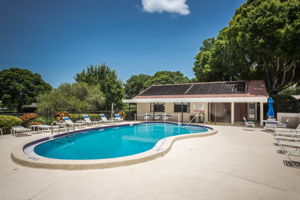 Community Pool2
