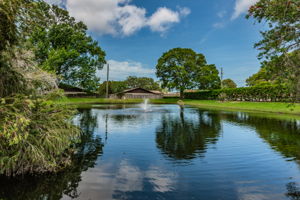 Pond View2