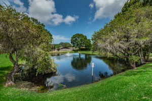 Pond View1