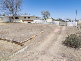  Photo 41