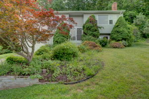  Photo 0