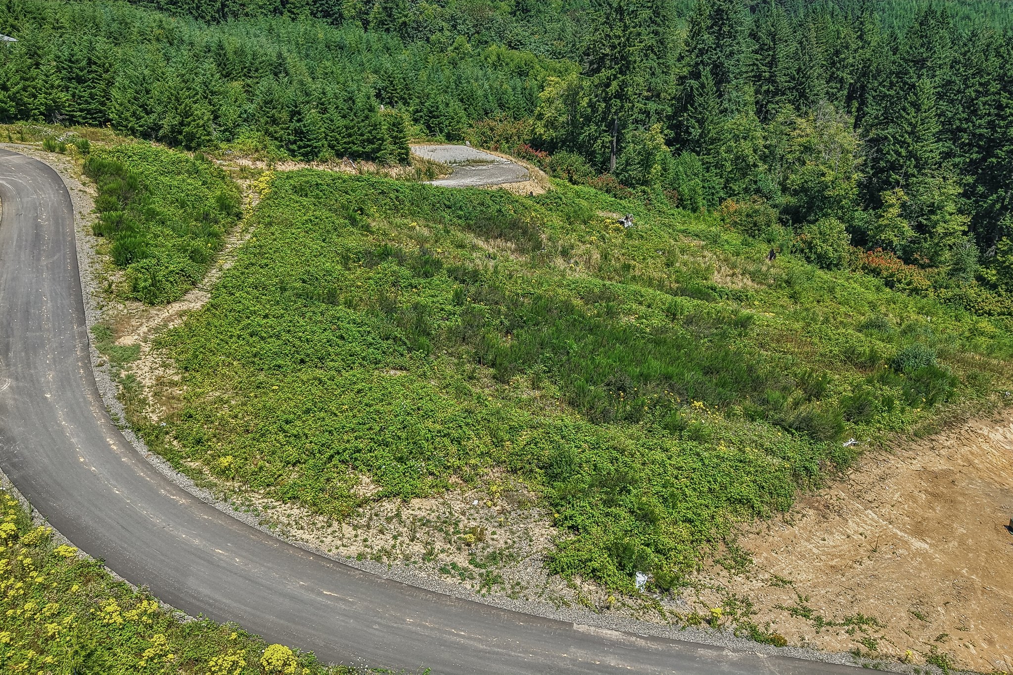 High Bank Ln-S3007-005.jpg