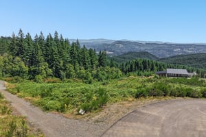 High Bank Ln-S3007-003.jpg