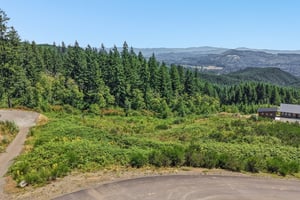 High Bank Ln-S3007-004.jpg