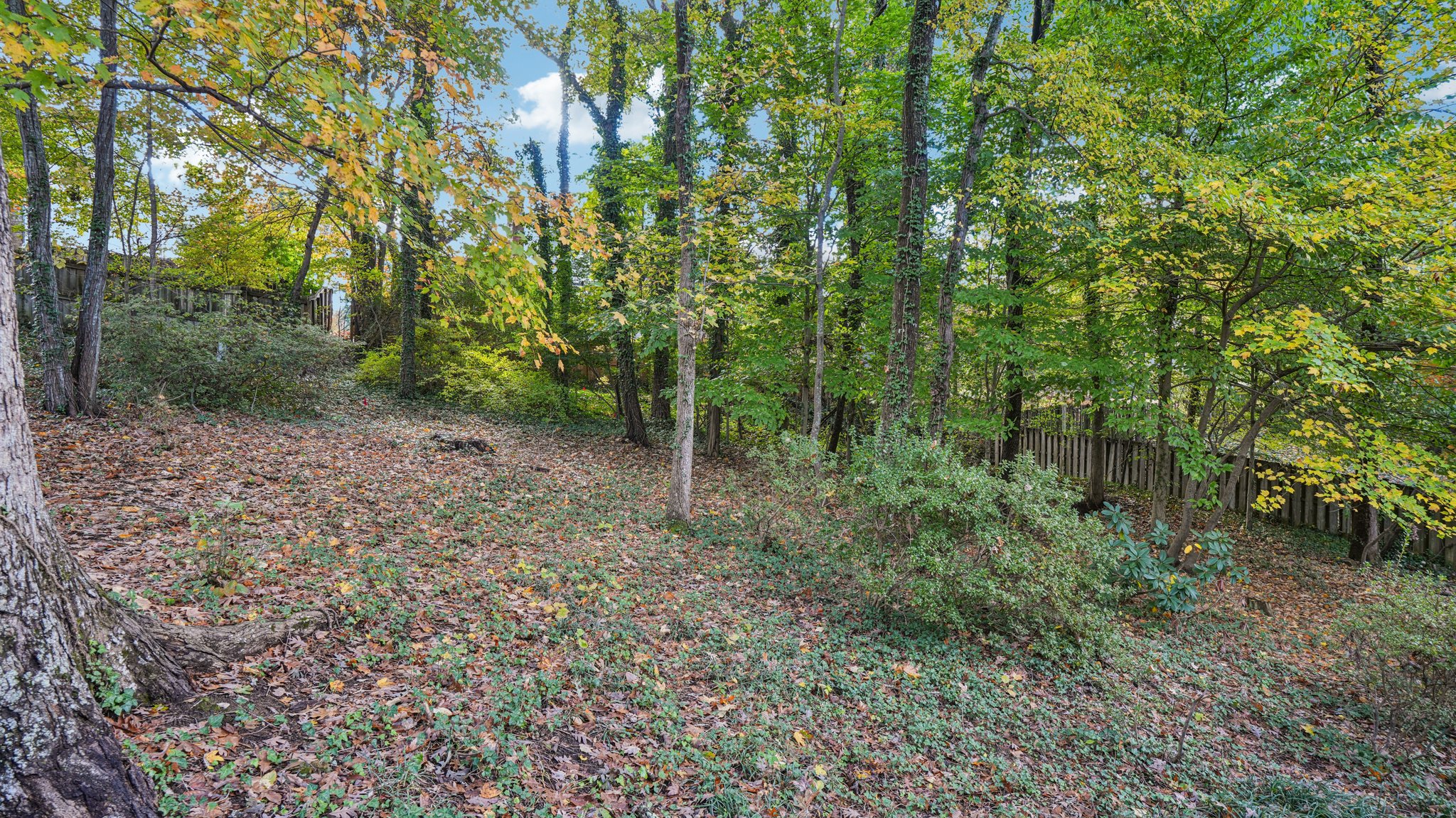 Shadowlawn Dr-S3110-049.jpg