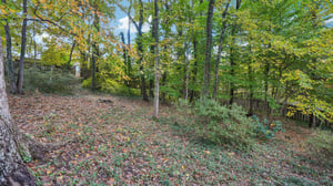 Shadowlawn Dr-S3110-049.jpg