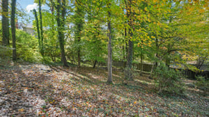 Shadowlawn Dr-S3110-051.jpg