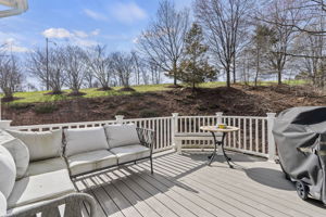 New patio & Trex deck stairs