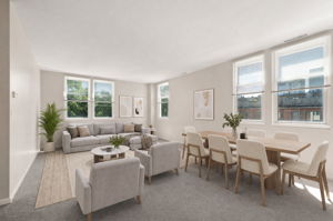 Image 12_LR+Dining