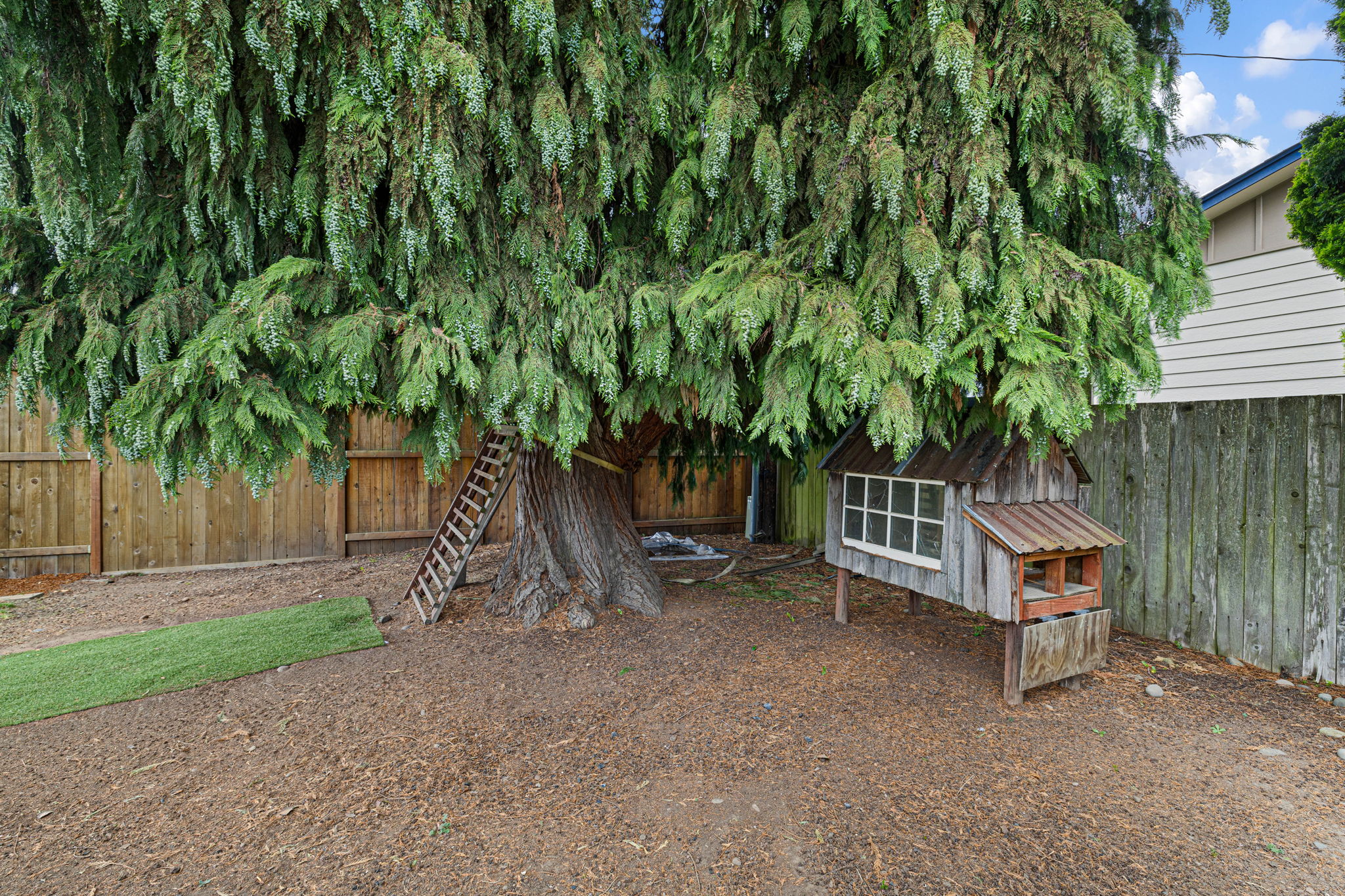  Photo 46