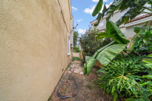  Photo 39