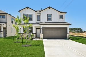 Ash Cypress Ct-1405-059.jpg