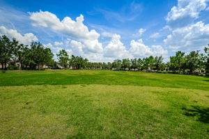 Green Space_