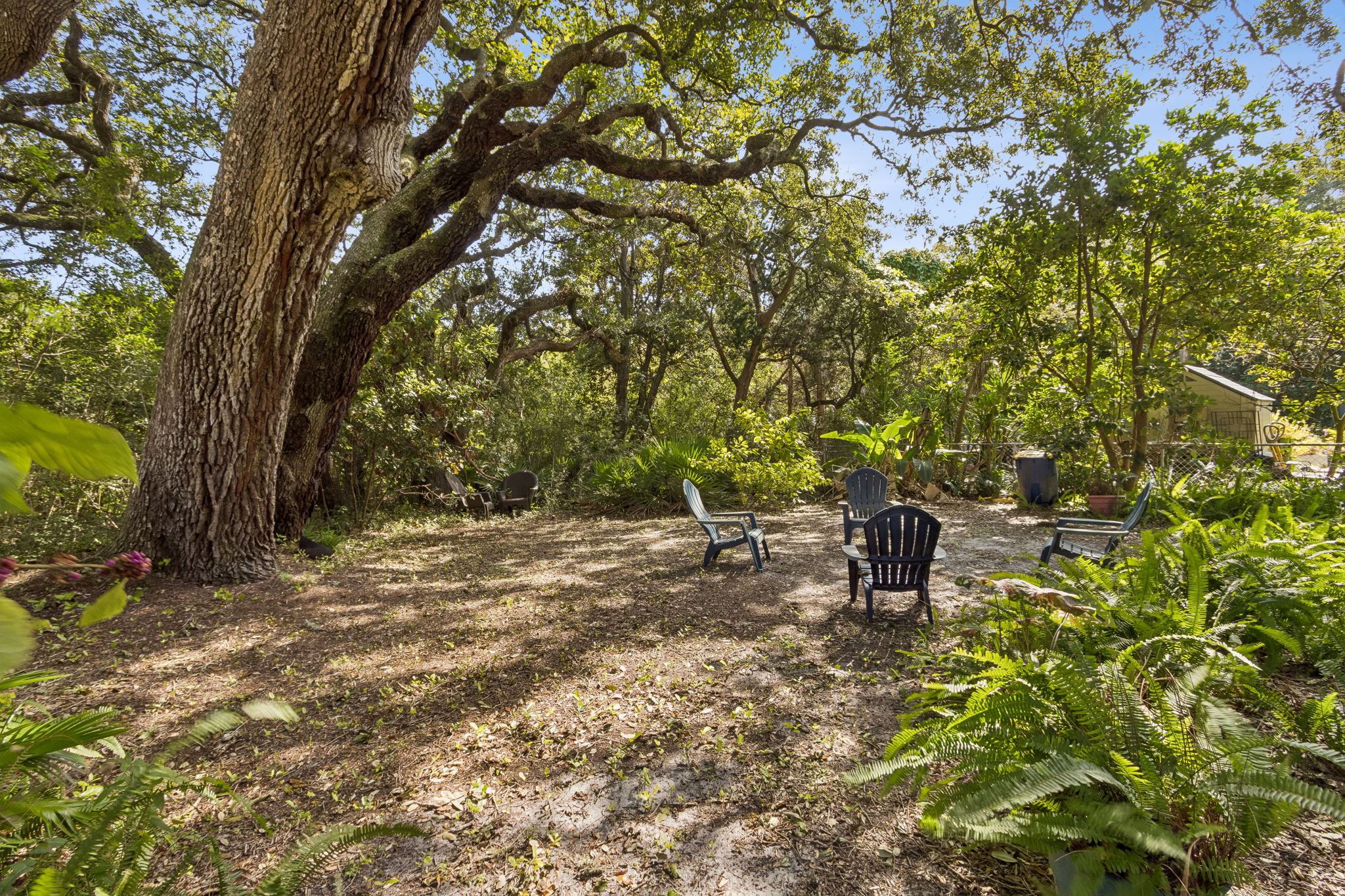 Backyard