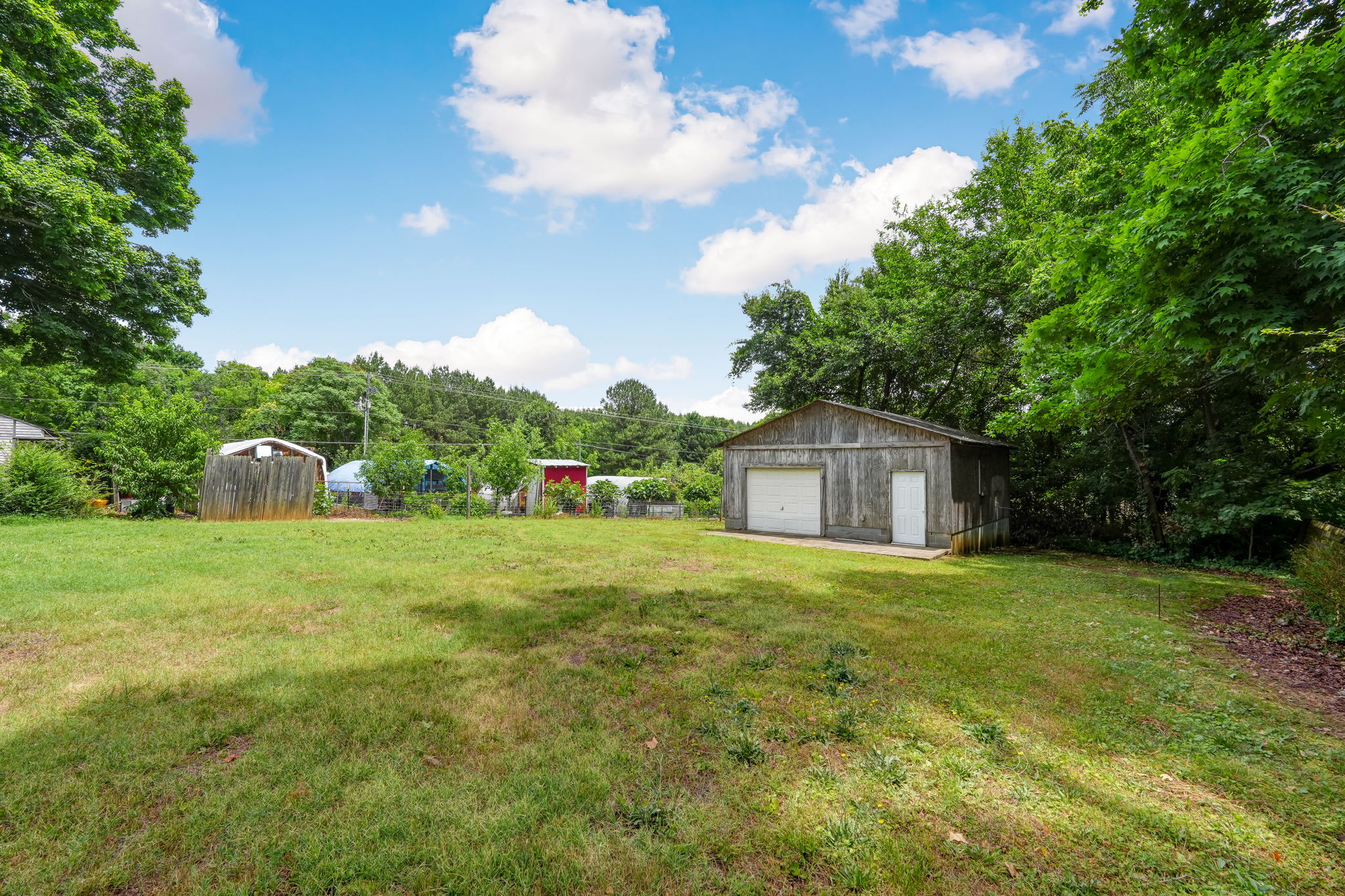 Back Yard