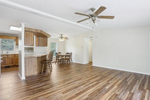 Dove Ln-2504-009.jpg