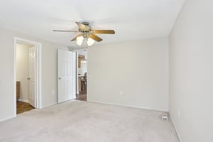 Dove Ln-2504-016.jpg