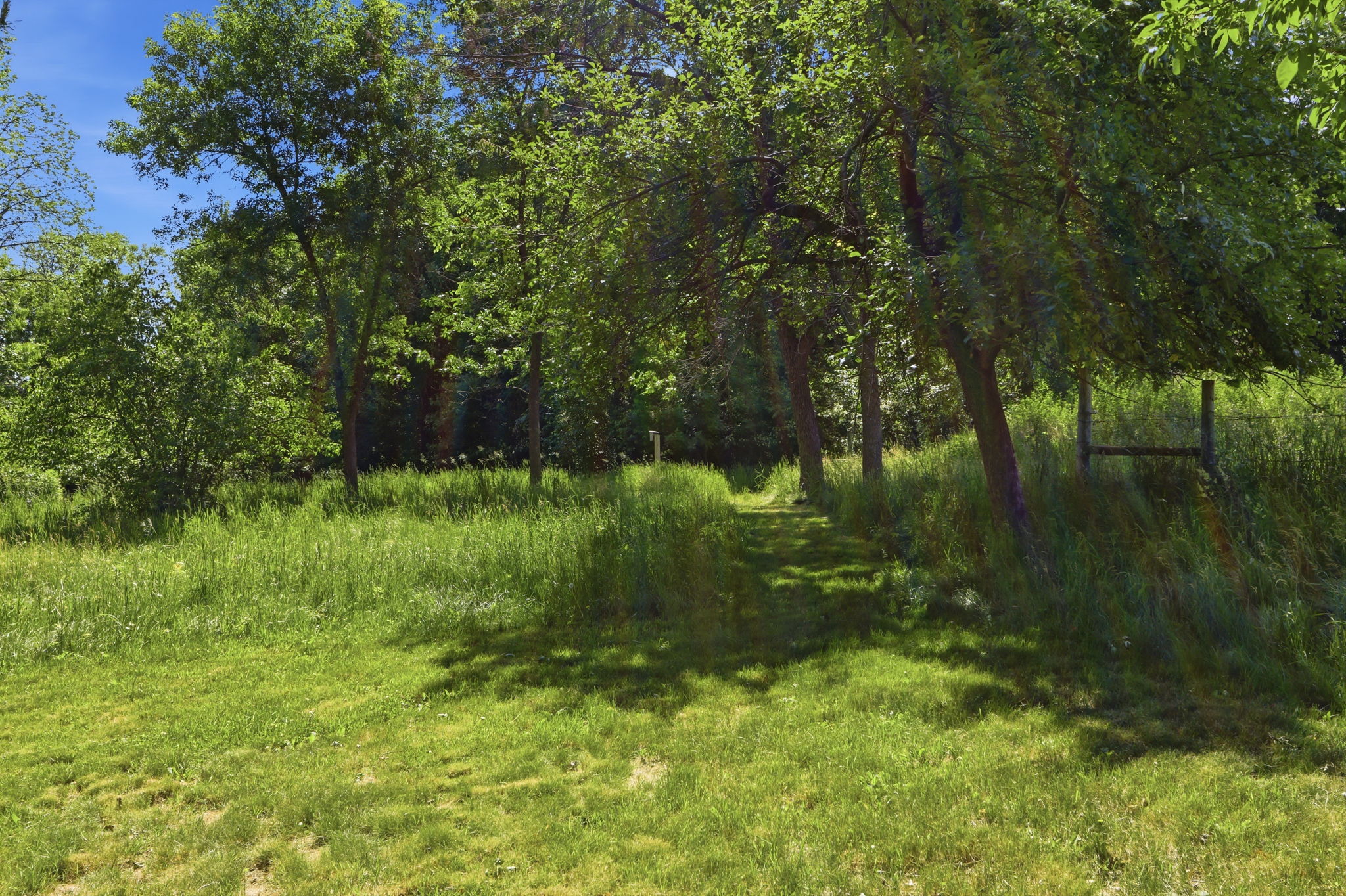  Photo 45