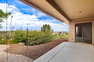 Back Patio