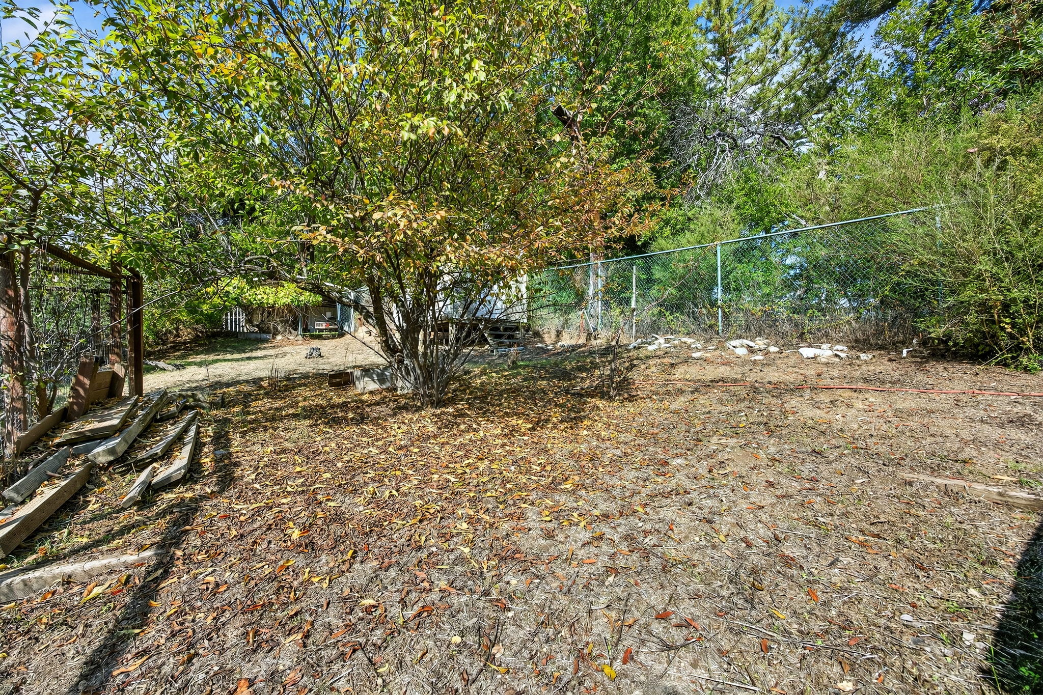  Photo 48