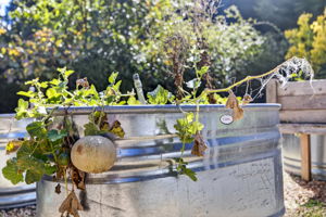  Photo 44