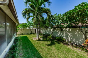 Backyard 4