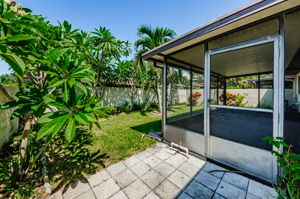 Backyard 1