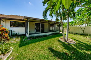 Backyard 3