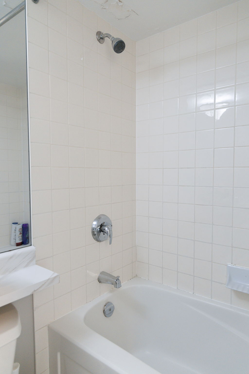Toronto property showcase — delivered property photograph 25