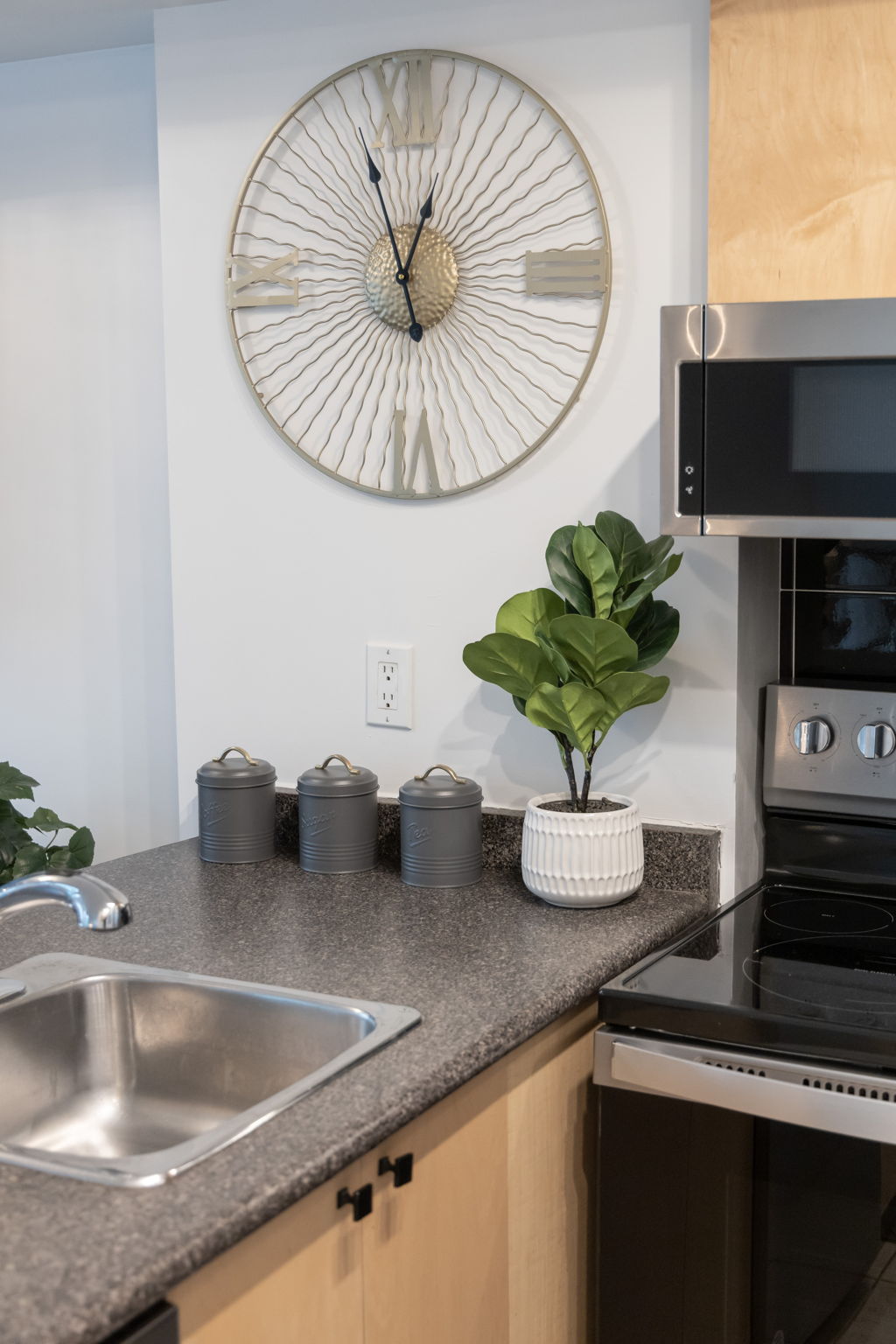 Toronto property showcase — delivered property photograph 11
