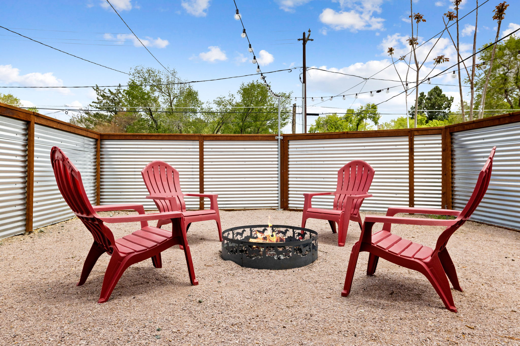 Backyard (2)