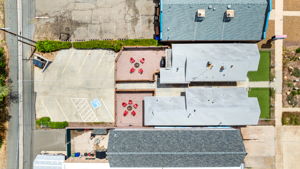Birds Eye