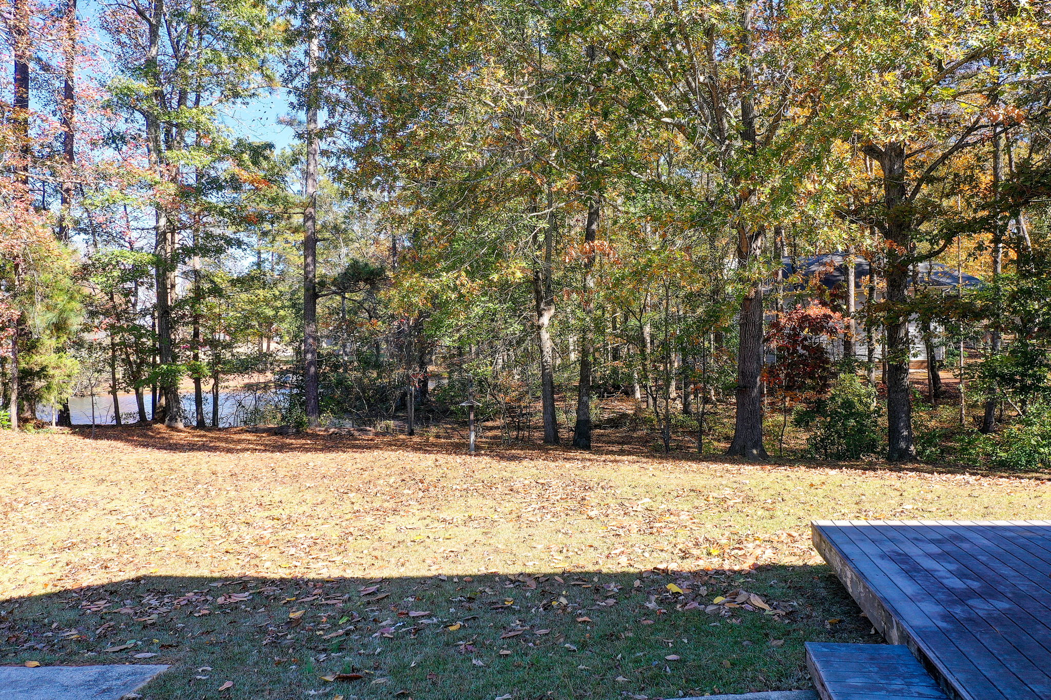 12 Aerial Back Yard w Patio Reference + Lake View A